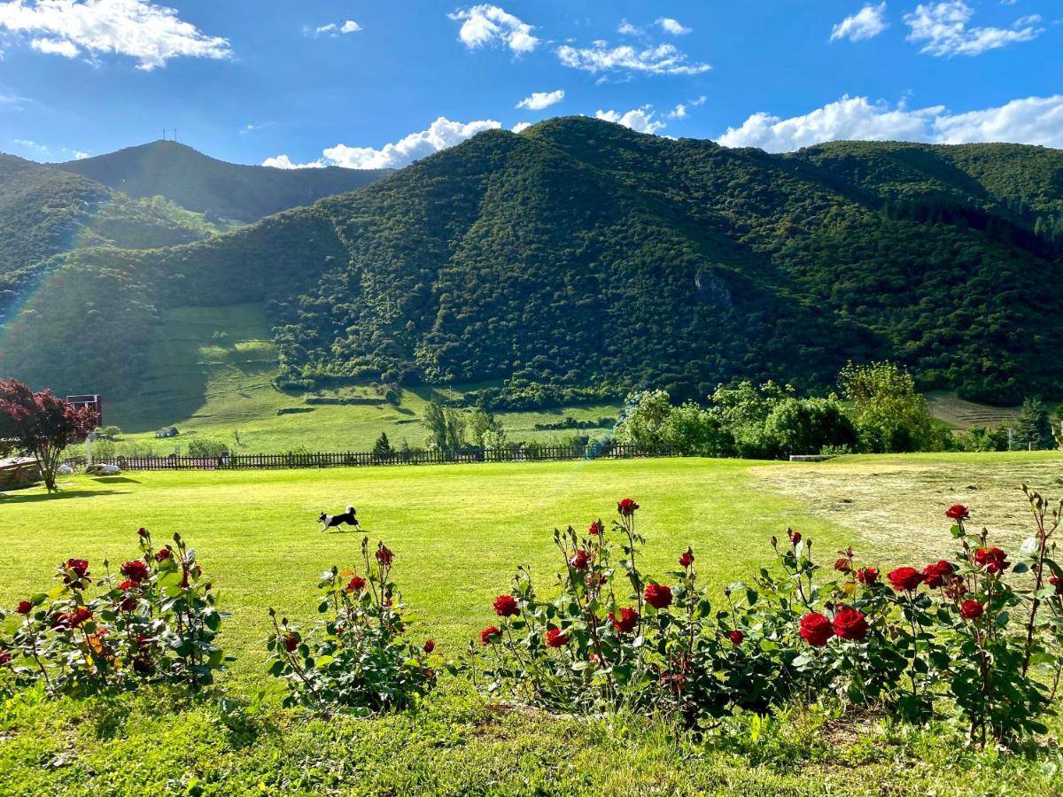 Casa Rural Alquitara 奥耶多 外观 照片